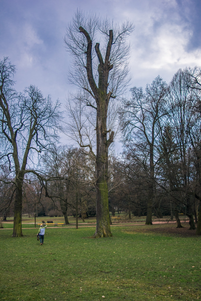 Park Lužánky