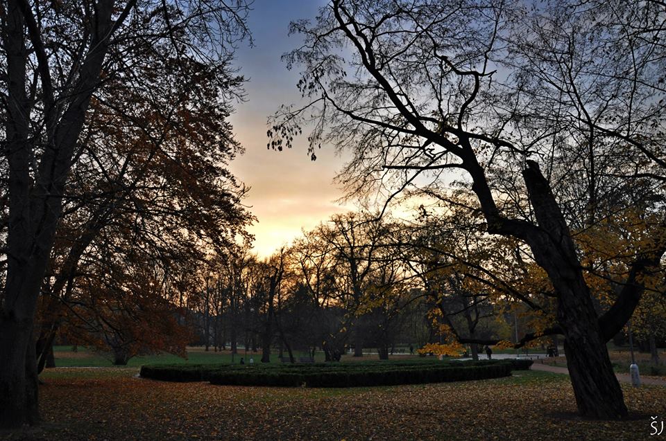 Lužánecký-park